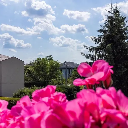 Wlodarska 4A Apartament Premium-2